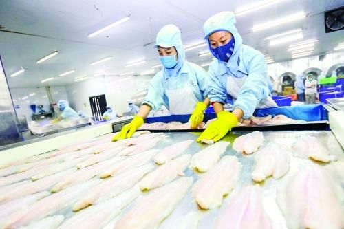 Để ngành thủy sản phát triển bền vững