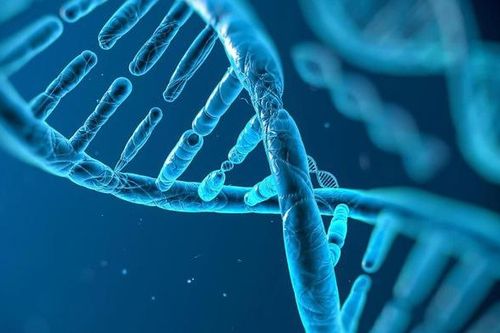 Thúc đẩy ứng dụng trí tuệ nhân tạo trong giải mã gene