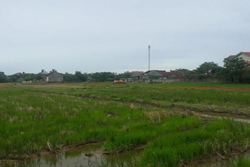 Huyện Hưng Nguyên (Nghệ An): Chưa xây xong hạ tầng đã chuẩn bị đấu giá đất