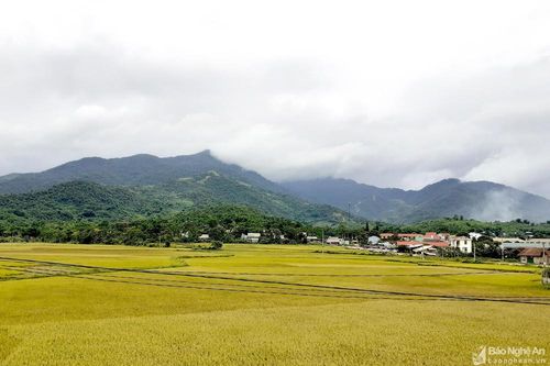 Phương án sáp nhập 168 xóm, bản ở huyện vùng biên Quế Phong