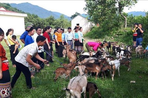 Tạo sinh kế giúp phụ nữ dân tộc thiểu số vươn lên thoát nghèo