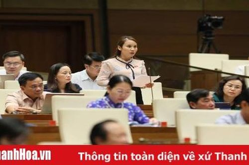 Đại biểu Quốc hội Thanh Hóa Bùi Thị Thủy tham gia thảo luận về dự thảo Luật Thư viện