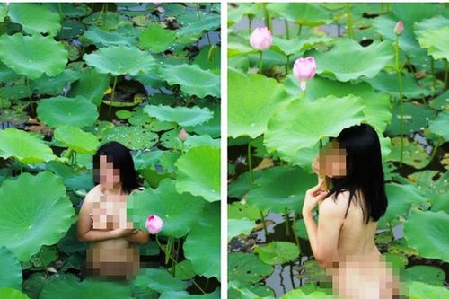 Lõa lồ trong đầm sen: Chỉ làm ô uế hoa đẹp!