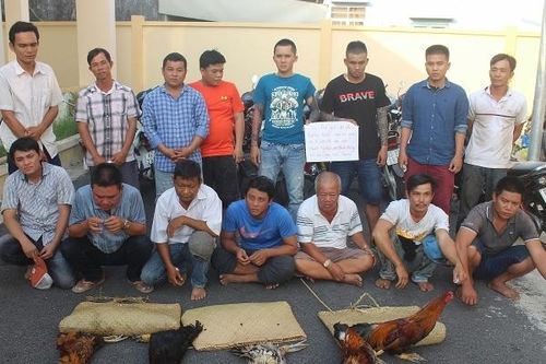 Chủ trường gà từng nhờ công an 'giúp đỡ' lại bị bắt