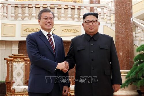 Tổng thống Hàn Quốc muốn gặp nhà lãnh đạo Triều Tiên trước khi đón Tổng thống Mỹ