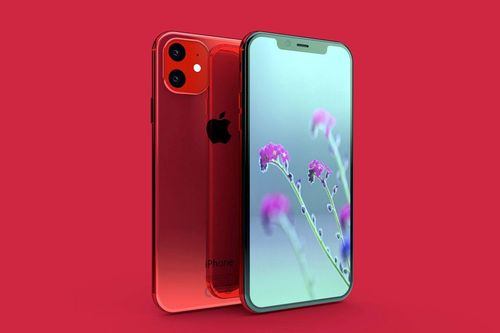 iPhone XR2 có thể là smartphone pin 'trâu' nhất của Apple