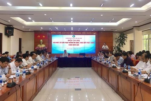 Sẽ hỗ trợ kinh phí bảo vệ đàn lợn giống cụ kỵ, ông bà