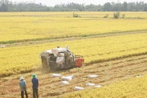 Hiệu quả từ sản xuất liên kết