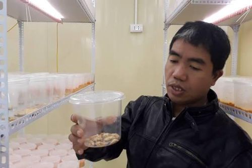 Đông trùng Hạ thảo, không phải cứ bỏ nhiều tiền là mua được hàng thật