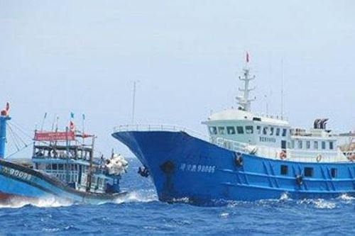 Ngư dân quyết bám biển dù bị 'tàu lạ' tấn công