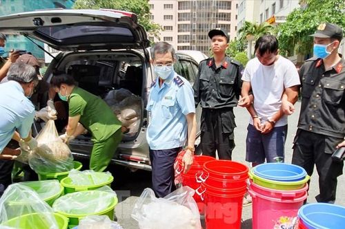 Giải mã quái chiêu những đường dây ma túy 'khủng'