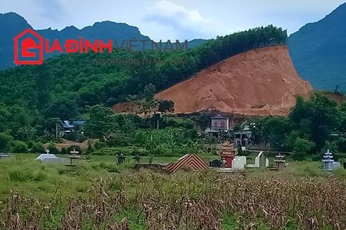Đất rừng tiếp tục bị 'xẻ thịt'công khai, chính quyền tỉnh Hòa Bình cần mạnh tay xử lý