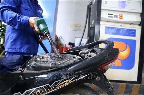 Tổng kiểm tra các cửa hàng xăng dầu: Tập trung vào nguồn gốc và điều kiện kinh doanh