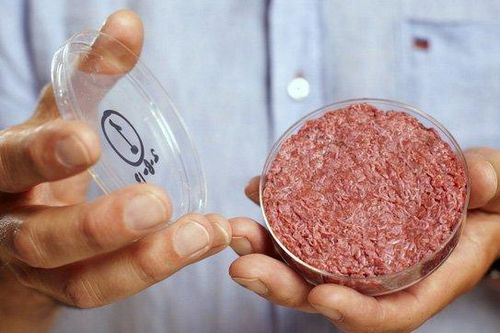 Không cần nuôi hay giết mổ, Nhật Bản vẫn tạo ra loại thịt giống hệt thịt bò