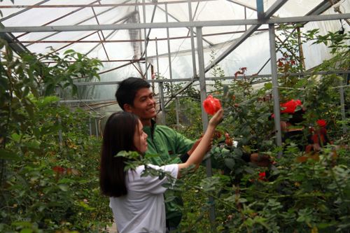 Agoda công bố 10 điểm đến yêu thích của khách Việt dịp Hè 2019