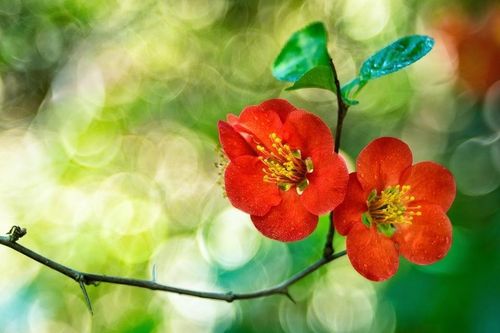 Tử vi ngày 17/6/2019: Tuổi Dần thất thoát tiền bạc, tuổi Dậu họa tiểu nhân tới