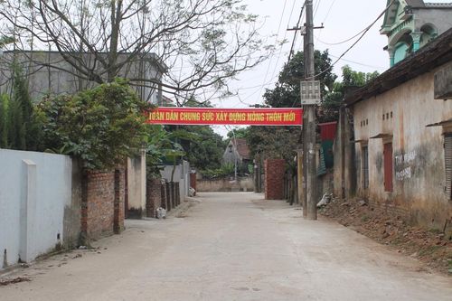 Vĩnh Tường (Vĩnh Phúc): Phấn đấu về đích Nông thôn mới trong năm 2019