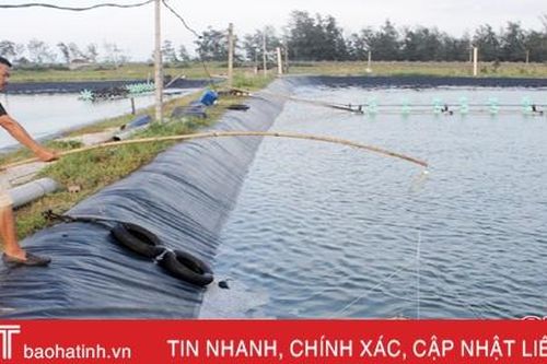 Nắng như nung, người nuôi tôm Hà Tĩnh 'mất ăn, mất ngủ'!