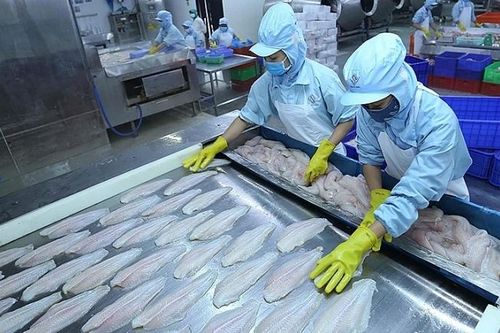 Xuất khẩu thủy sản sang thị trường CPTPP: Đáp ứng tiêu chuẩn khắt khe