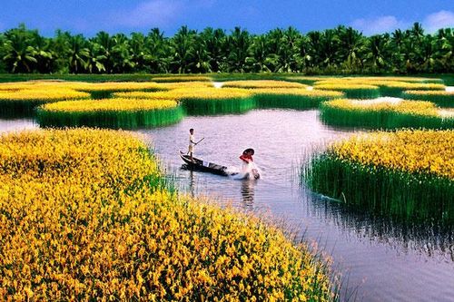 Làm thế nào để phát triển nông nghiệp Đồng bằng sông Cửu Long bền vững, an toàn?