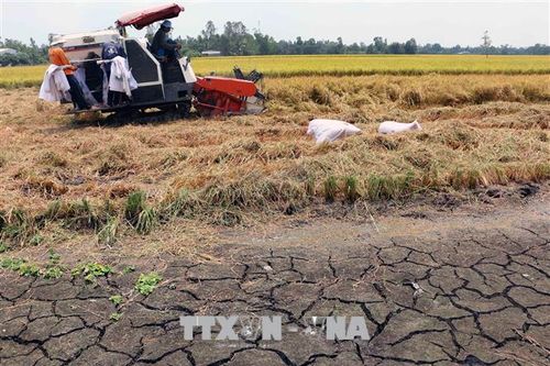Thừa Thiên - Huế đối phó với hạn mặn xâm nhập