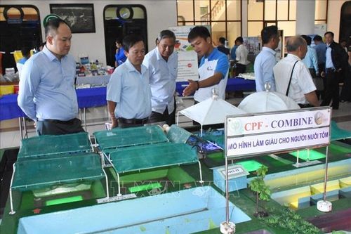 Xây dựng thương hiệu tôm Việt Nam