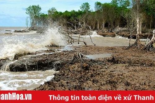 Xây dựng Kế hoạch hành động ứng phó với biến đổi khí hậu, giai đoạn 2021-2030