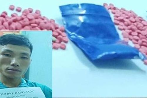 Mua bán ma túy, cố tẩu tán tang vật vẫn không thoát