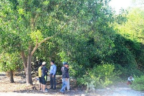 Giám đốc trung tâm văn hóa tỉnh Quảng Nam chết trong tư thế treo cổ