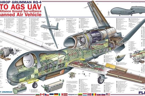 Cận cảnh máy bay không người lái Global Hawk của Mỹ bị tên lửa BUK-2 Iran bắn hạ