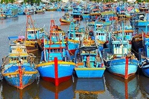 Vi phạm vùng biển nước ngoài, 2 tàu cá Bình Thuận bị 'cấm cửa' khơi xa