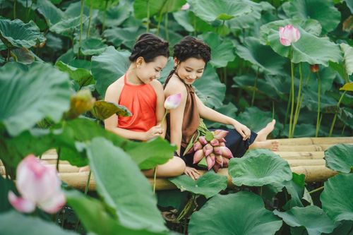 'Đốn tim' bộ ảnh bên hoa sen của cặp song sinh nhí Hà thành