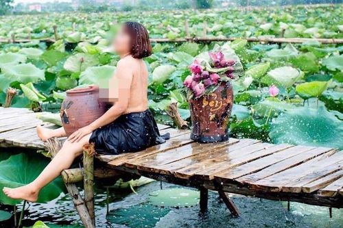 Quận Tây Hồ cấm chụp ảnh nude bên hồ sen