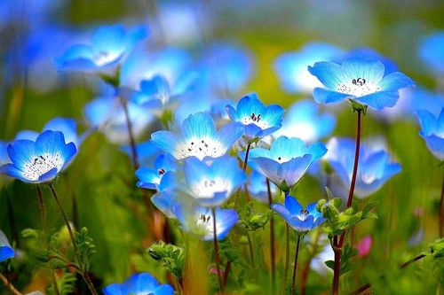 Tử vi ngày 23/6/2019: Tuổi Ngọ nên tránh bao đồng, tuổi Thân bỏ ngay thói xấu