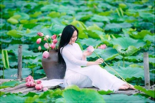 Rộn ràng mùa sen nở