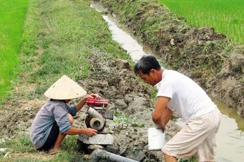 Nắng nóng, khô hạn ảnh hưởng đến các địa phương