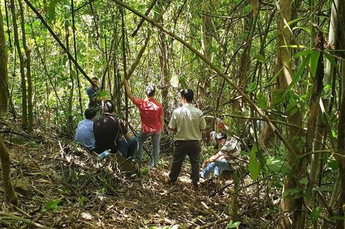 Hãi hùng phát hiện thi thể người đàn ông ở vực sâu ven đèo Bảo Lộc