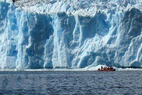 Sông băng ở Chile tan chảy đe dọa đa dạng sinh học biển