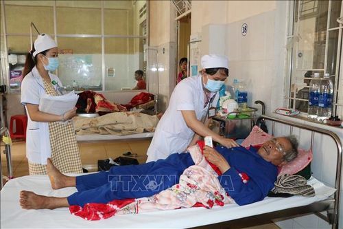 Số bệnh nhân sốt xuất huyết tại Gia Lai tăng gấp 3 lần năm ngoái