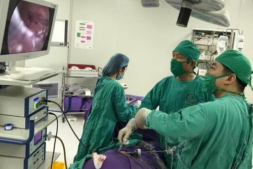 Đau tức thắt lưng, bé 3 tuổi phải cắt thận trái
