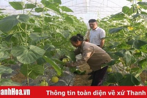 Phát huy truyền thống, xây dựng Đảng bộ huyện Đông Sơn ngày càng vững mạnh, phát triển