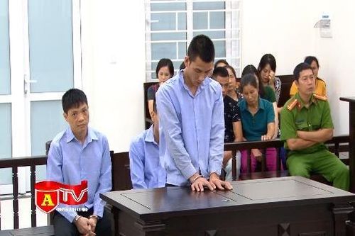 'Yêu râu xanh' xin giảm án không được chấp nhận