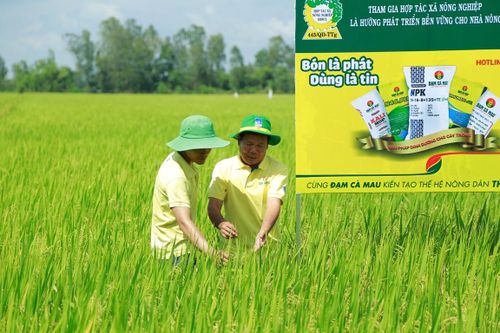 NPK Cà Mau sẽ cung cấp cho thị trường 300.000 tấn/năm