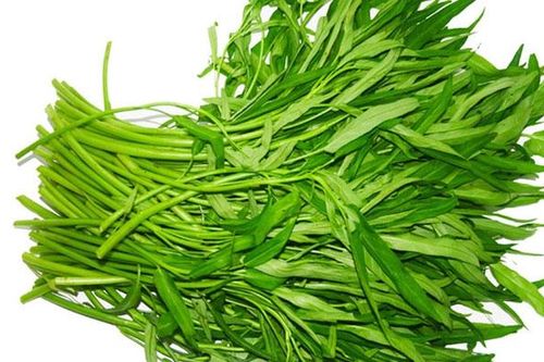 Những người này không nên ăn rau muống