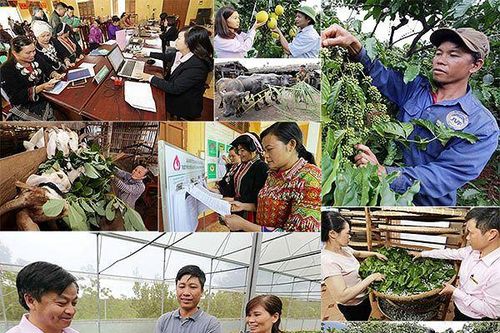 Hơn 94.000 hộ được tiếp nguồn lực vươn lên thoát nghèo
