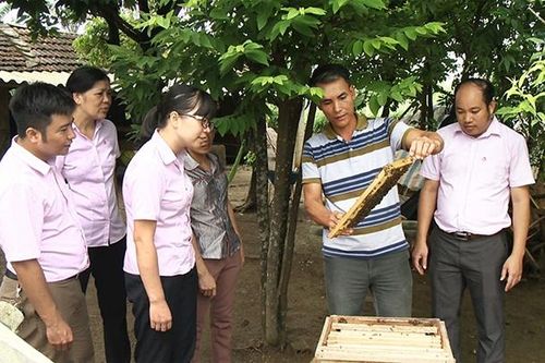 Cà Mau nhân rộng các mô hình sản xuất nông nghiệp hiệu quả