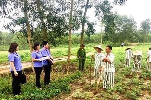 Nữ Kiểm sát viên góp phần đưa những người lầm lỡ trở về