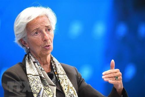 IMF đánh giá triển vọng kinh tế tại các vùng lãnh thổ Palestine
