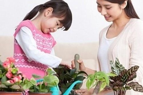 Kho báu yêu thương của mỗi bà mẹ