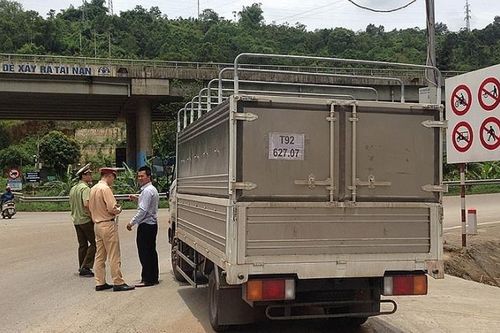 Quản lý thị trường Lào Cai: Dồn lực chống dịch tả lợn châu Phi